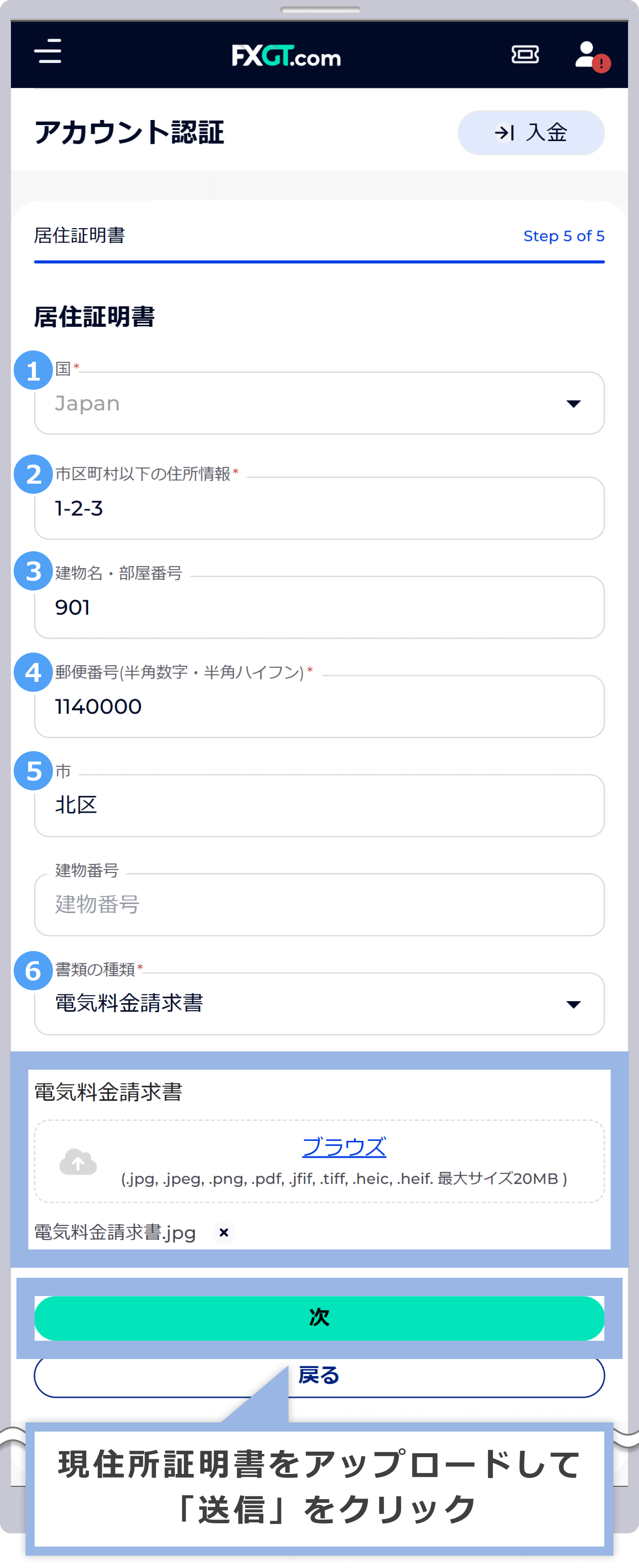 代表者の必要書類アップロード